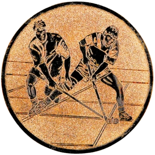 Floorbal: Hliníkový emblém na trofej Ø 50 mm bronzová