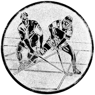 Floorbal: Hliníkový emblém na trofej Ø 50 mm strieborná