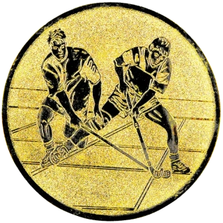 Floorbal: Hliníkový emblém na trofej Ø 50 mm zlatá