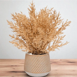 Dekoratívna rastlina v keramickom kvetináči – výška 25 cm: zlatý