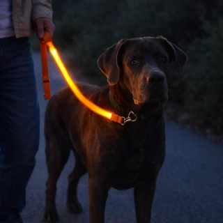 Svietiace LED vodítko pre psa a mačku 1,2 m oranžové