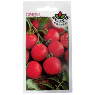 Paradajka koktailová (cherry) BLACK CHERRY – semienka cherry paradajok (Selecta Poznań)