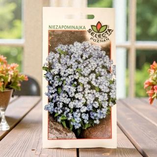 Nezábudka lesná – semienka Myosotis sylvatica