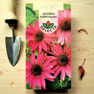 Ježovka purpurová – semienka Echinacea purpurea 0,5g