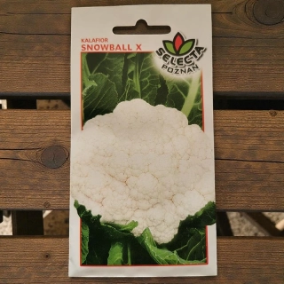 Karfiol Snowball X – semienka Brassica oleracea var. botrytis 1g