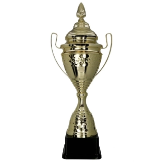 Zlatý pohár s vekom 66,5 cm