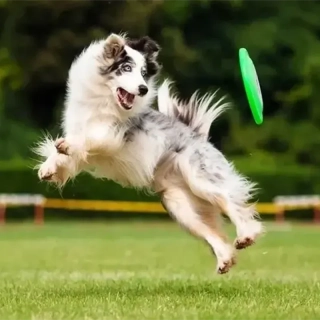 Gumové frisbee pre psa 18 cm