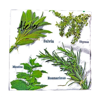 Servítky Atelier 33x33cm 20ks Garden herbs